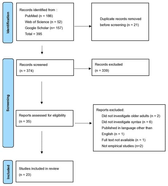 Syntactic Processing in the Aging Brain: Neural Reorganization, Cognitive Scaffolding, and Implications for Language Resilience