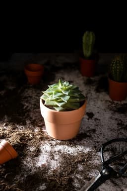 Why Your Potting Soil Isn't Draining (and How to Fix It Fast)