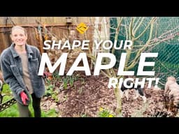 How to Prune a Japanese Maple 🌿 Beginner-Friendly Guide + Pro Tips for Perfect Shape