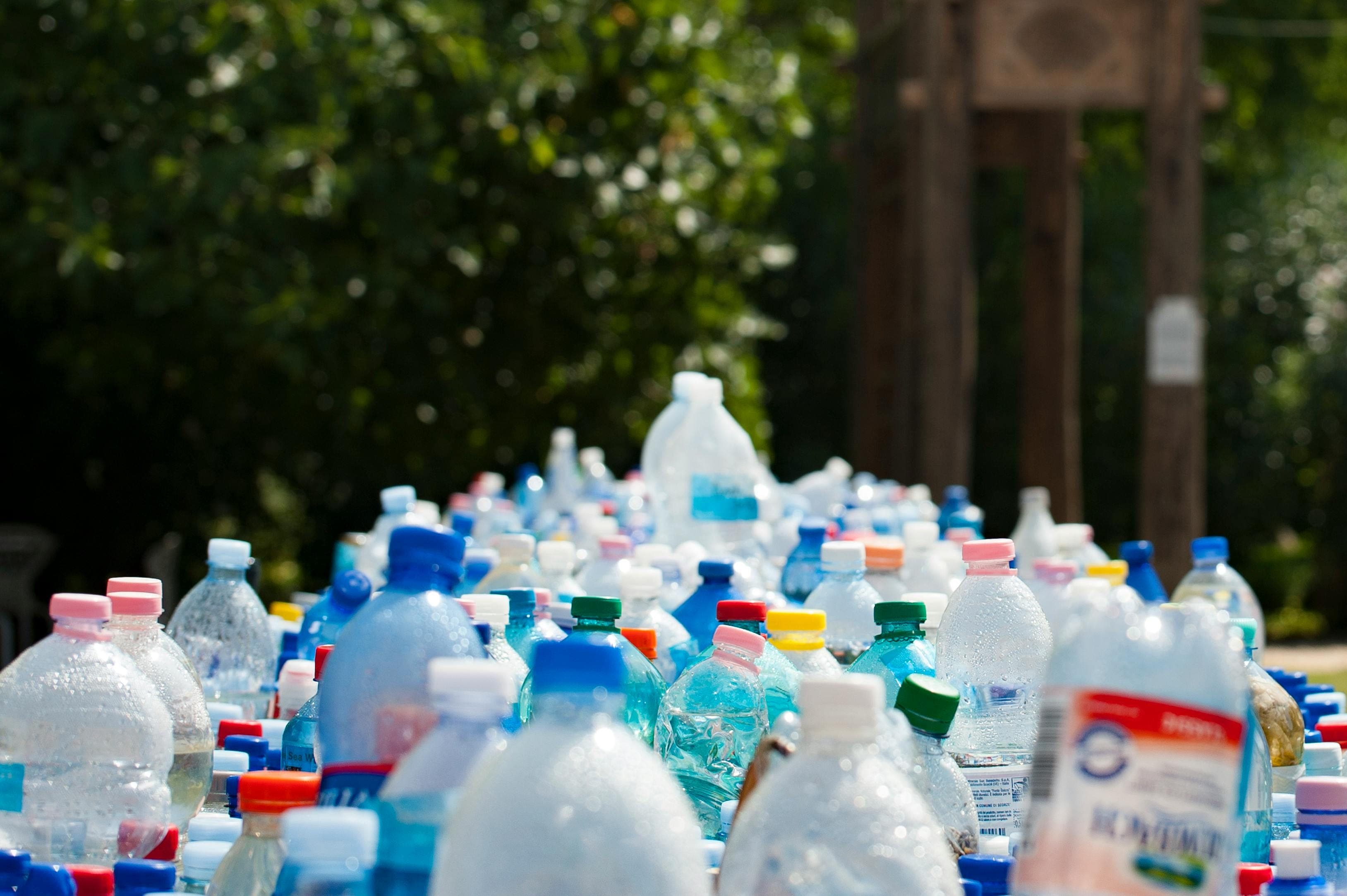 Endocrine disrupting chemicals in women
