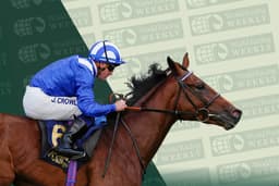 World Racing Weekly: Raaheeb, Irish Derby & Aviatore
