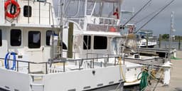 The 10 BEST Boat Tours in Guanajibo, Puerto Rico from US $60 (Spring 2026)