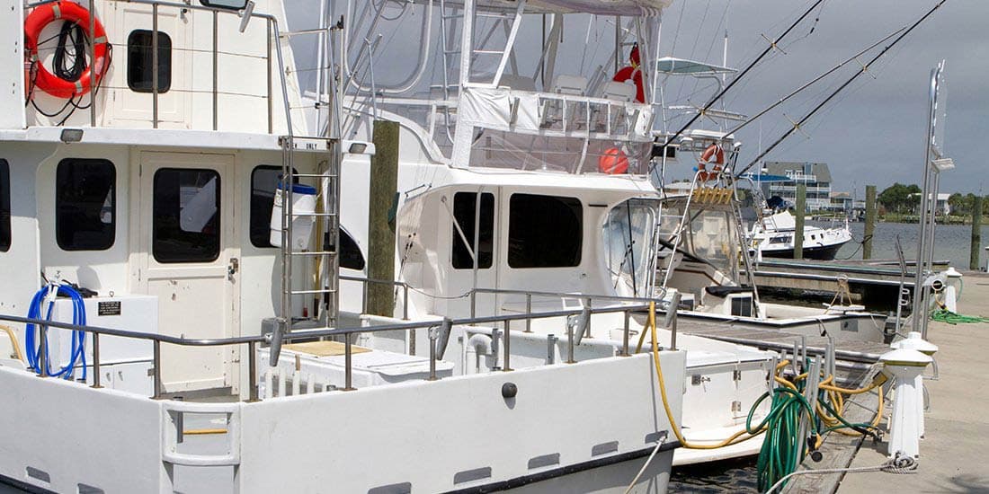 The 10 BEST Boat Tours in Guanajibo, Puerto Rico from US $60 (Spring 2026)