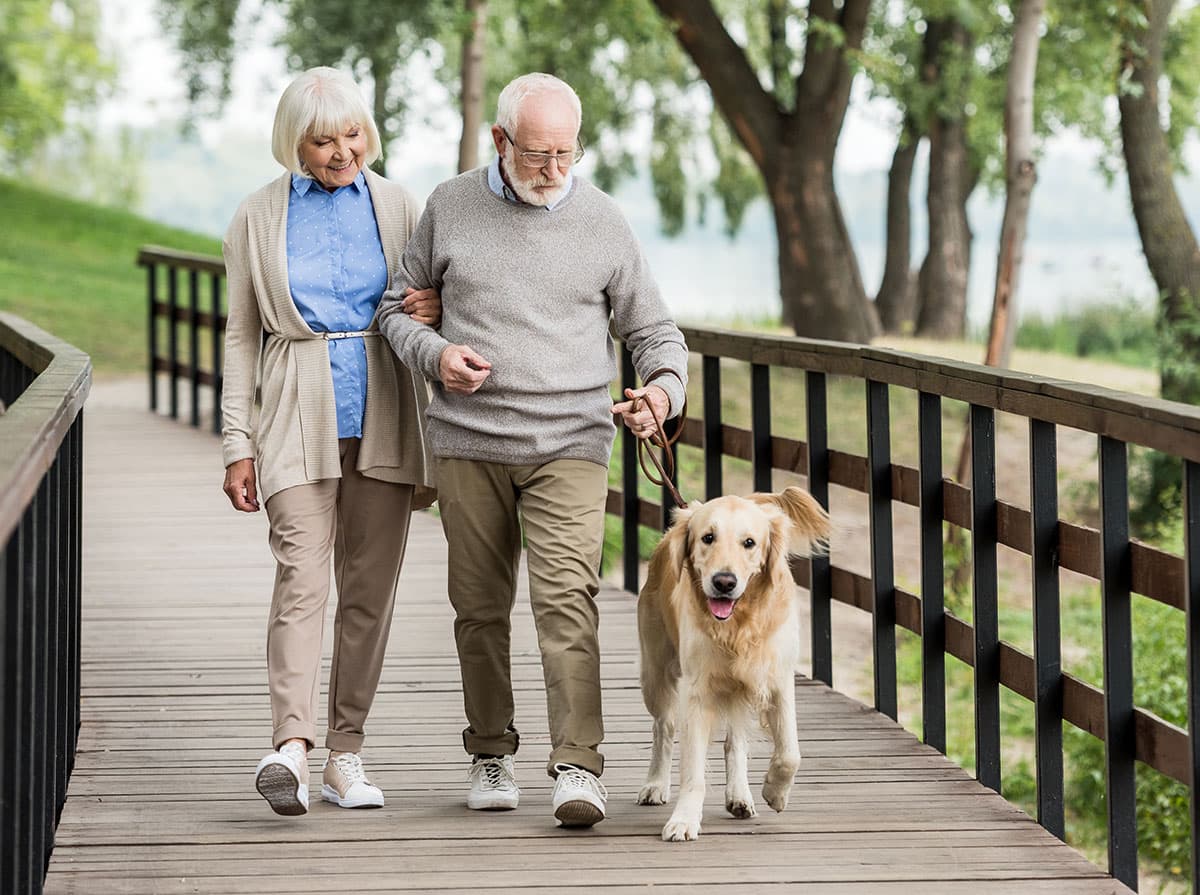 Why Strength Training Is Important for Mobility, Balance, ...