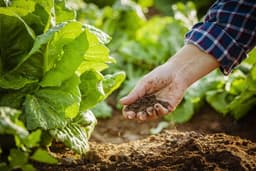 Why Soil Health Is The Key To A Thriving Garden—And ...