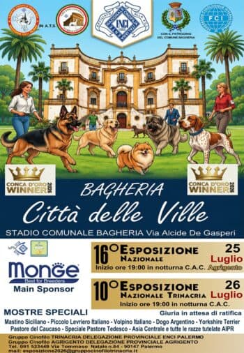 Dog show returns to Bagheria: “Trinacria Winner 2026”