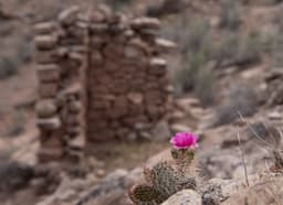 Notes from the Road: Canyons of the Ancients