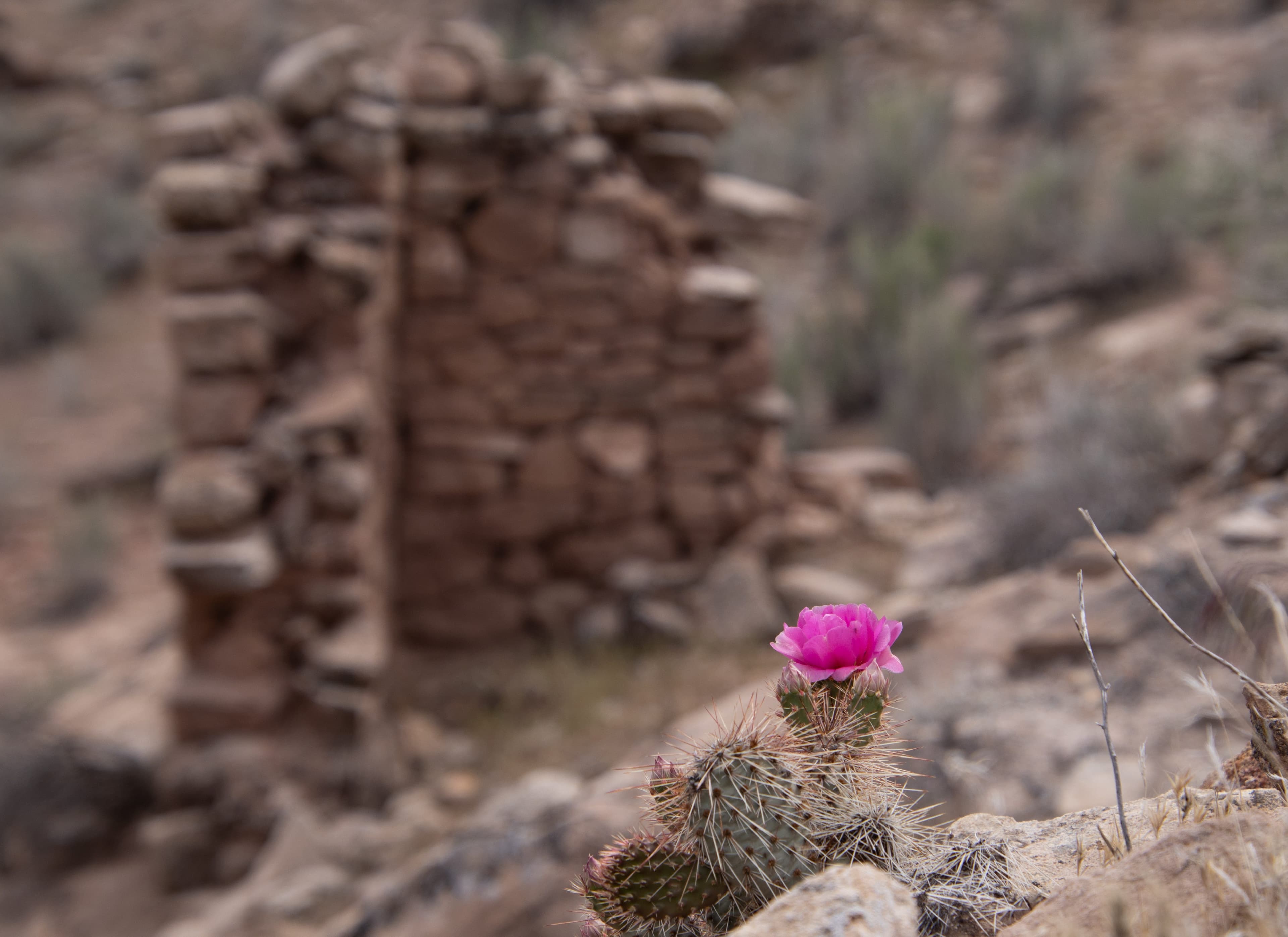 Trump Admin Reversing Chaco Canyon Protections