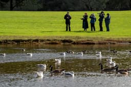 8 things to do in Richmond this week