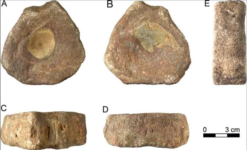 Ancient fossil collectors, shared Neanderthal/sapiens ...