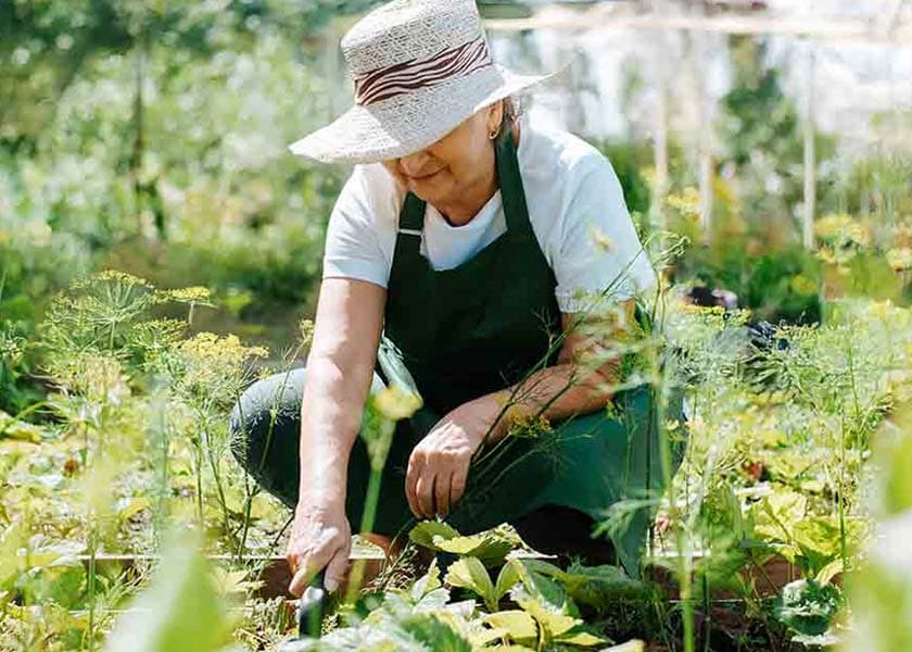 Garden Therapy: Why Getting Your Hands Dirty Is the Best 'Medicine'