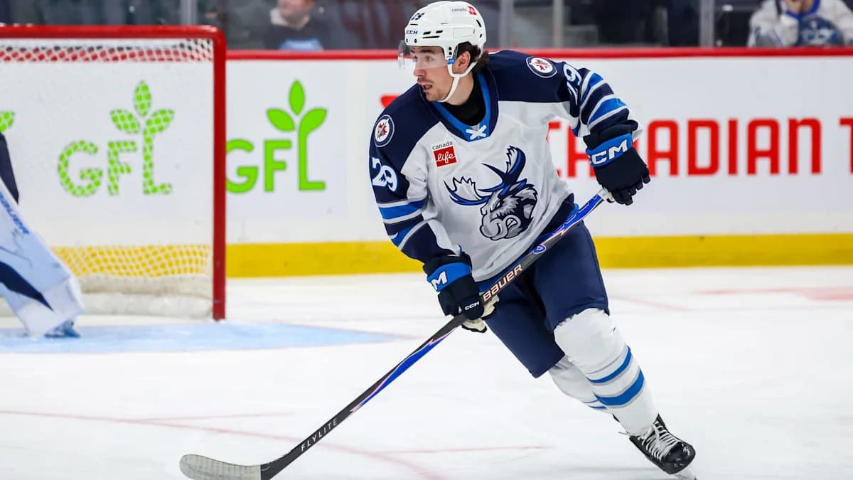 Winnipeg's AHL Moose Red Hot Entering Friday Clash vs ...
