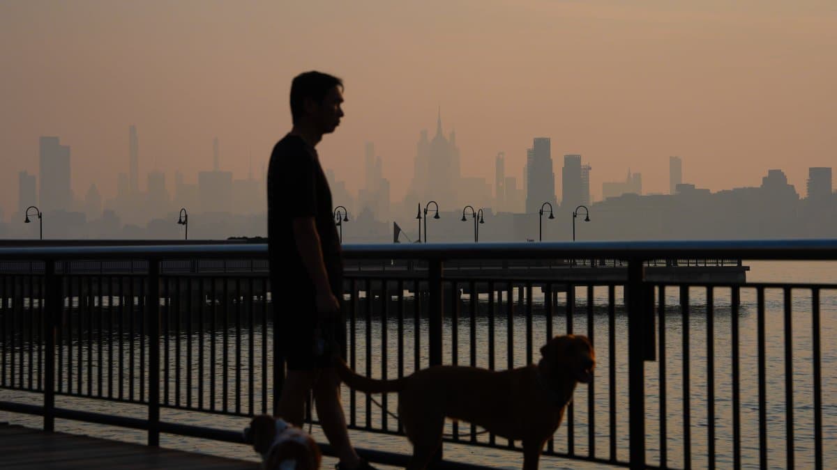 How wildfire smoke attacks the body