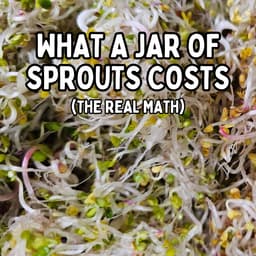 Is Growing Sprouts at Home Worth It? Real Cost Per Jar | On The Grow