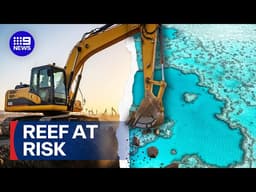 Great Barrier Reef at breaking point amid rising deforestation | 9 News Australia