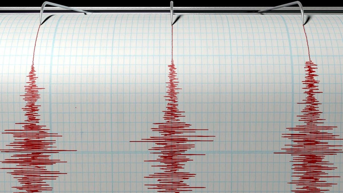 últimos sismos reportados hoy jueves 2 de julio - LA NACION