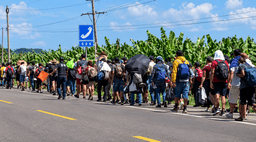 The November Factor: Migrant Caravan Heads North in ...