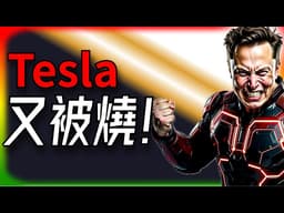 【Tesla每日快訊】 馬斯克又被盯上？澳洲特斯拉展示廳遭縱火，警方火速調查中🔥Robotaxi擴區/Optimus消息（2026/4/1）