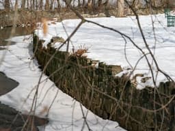 Heavy Snowfall Hits Northeast Region