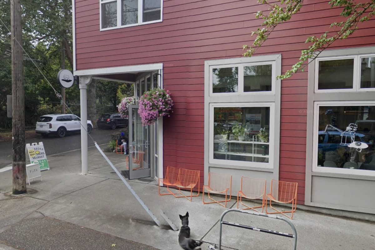 Matcha Darling Yoka Tea Plots Big Ballard Move