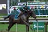 Japan Cup Rematch Set for Ascot in July