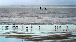 Historic new report maps California’s coastal successes and failures – NBC Bay Area