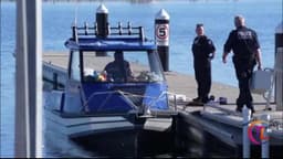 Man dies after bitten by shark in Western Australia, police say