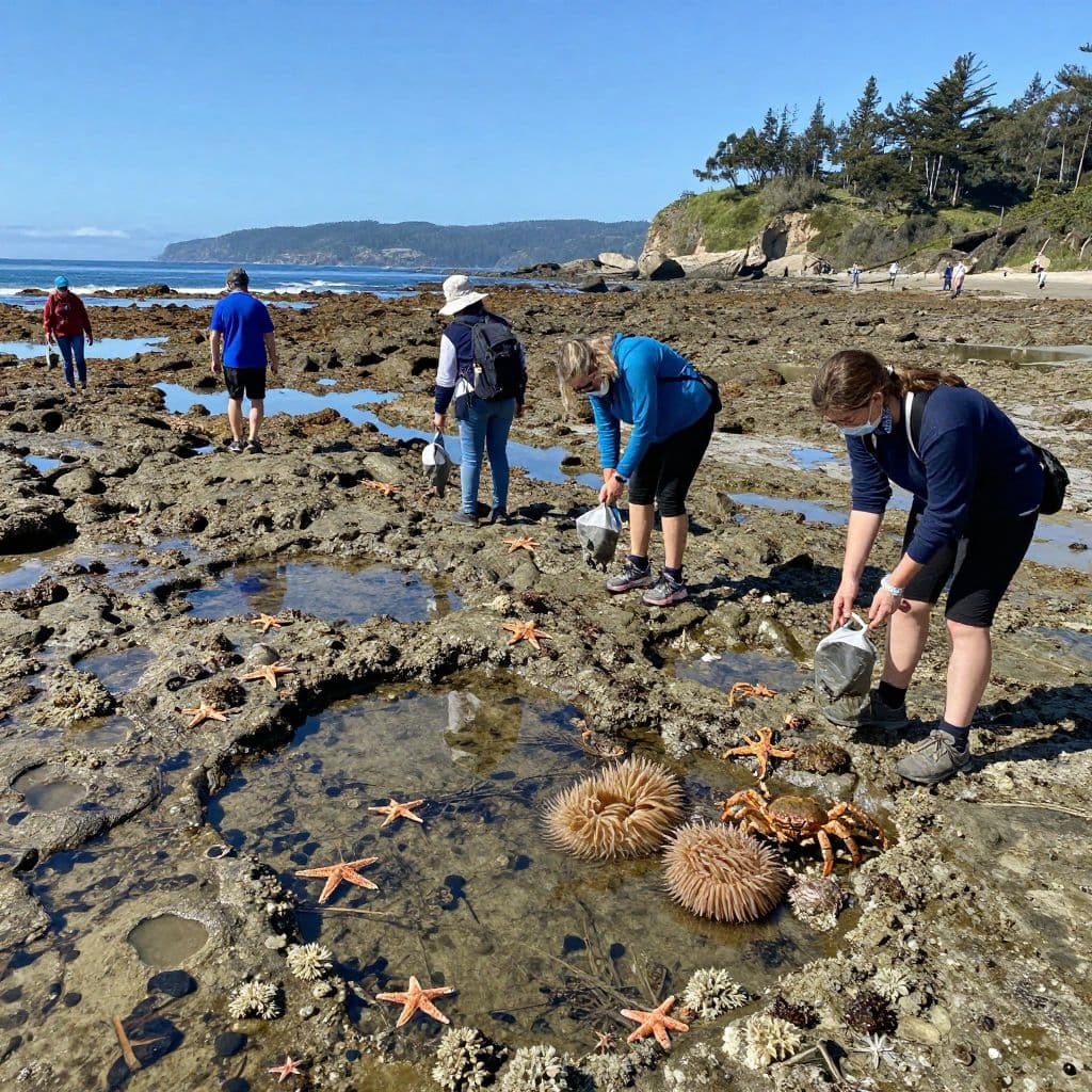15+ Best Things To Do In San Mateo, CA - thecaliforniasidecom