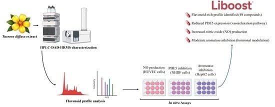 Flavonoid Composition and Molecular Basis of the Potential Sexual-Enhancing Properties of a Turnera diffusa Extract (Liboost®)