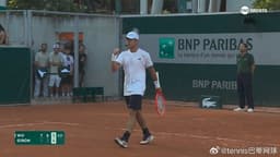 中国男子网球选手在法网等红土赛事的整体历史战绩如何？