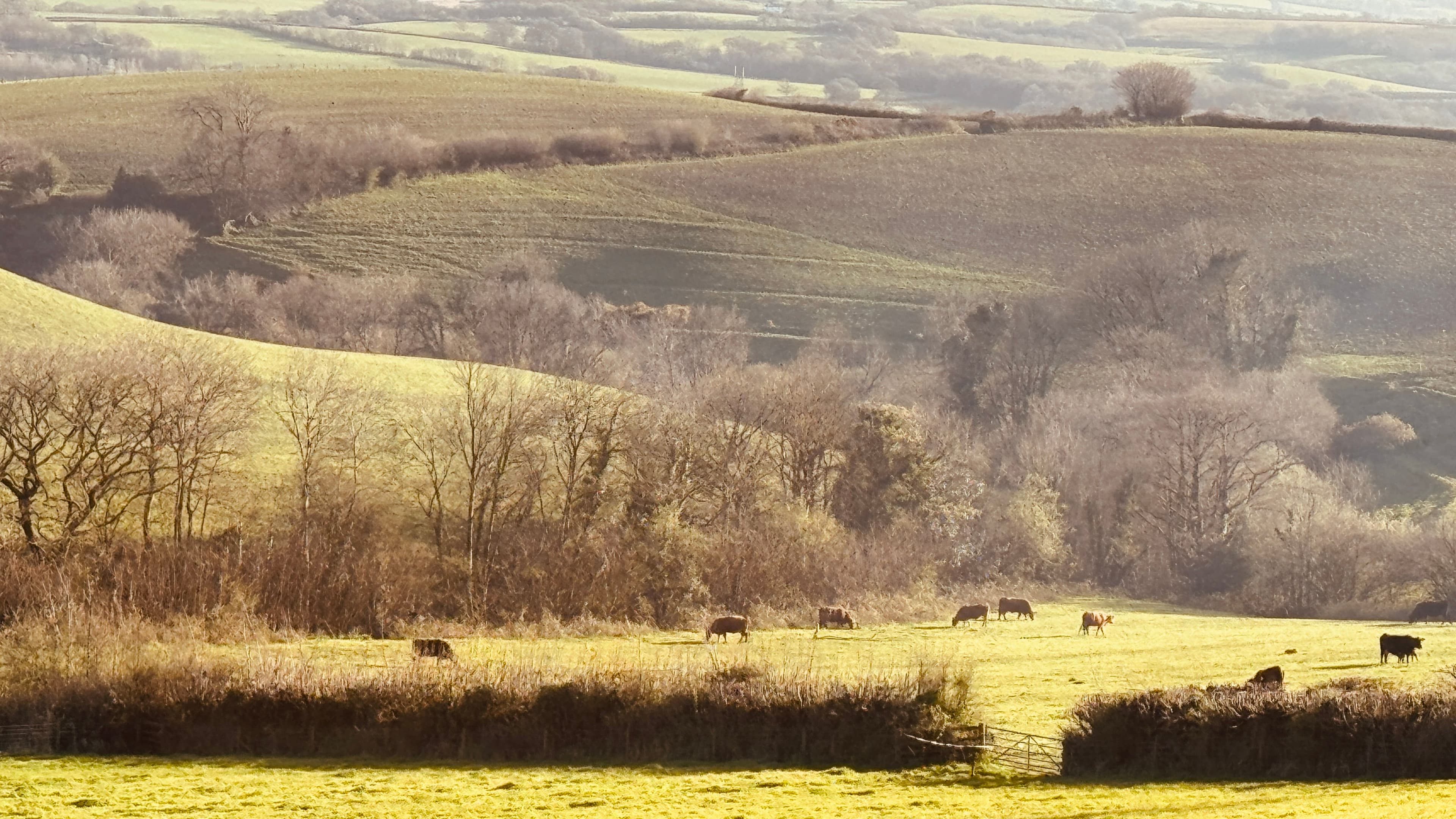 The Simple Fact of Being (Part One) 