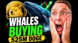 Latest Breaking News Dogecoin Whales Just Did This?