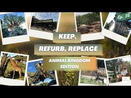 Disney's Animal Kingdom: Keep, Refurb, Replace!