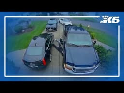 Seattle police uncover stolen vehicles and suspected cockfighting ring in Auburn raid