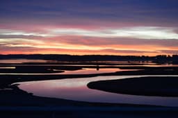 Scarborough Marsh Restoration Project