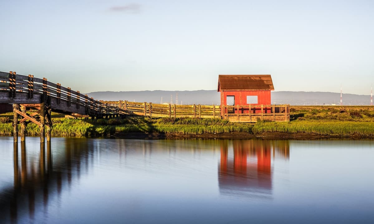 Cooking activities in San Francisco Peninsula