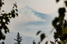Groups Say Flathead Logging Project Sidesteps Endangered Species Imperatives