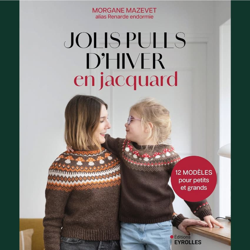Livre Jolis pulls d'hiver en jacquard de Morgane Mazevet