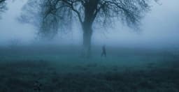 The Liminal Places