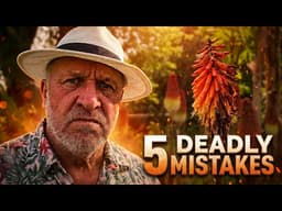Five mistakes to avoid planting and growing the red hot poker - Kniphofia