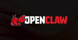Getting Started with OpenClaw: A Step-by-Step Guide to Setting Up OpenClaw on a VPS - DEV Community