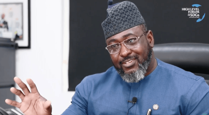 Global geo-economic risks threats to Nigeria’s outlook, says NESG - The Nation Newspaper