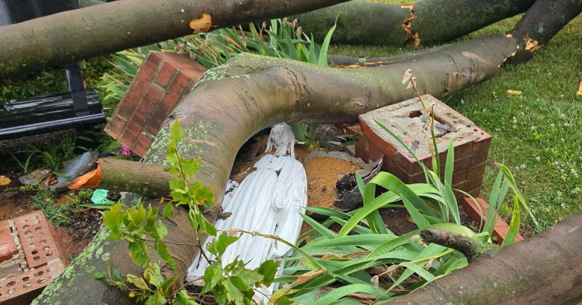 Microburst storm downs trees, cuts power in Middletown