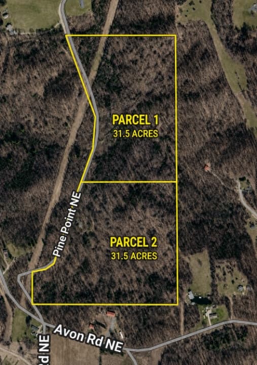 63 +\- Acres Of Wooded Land