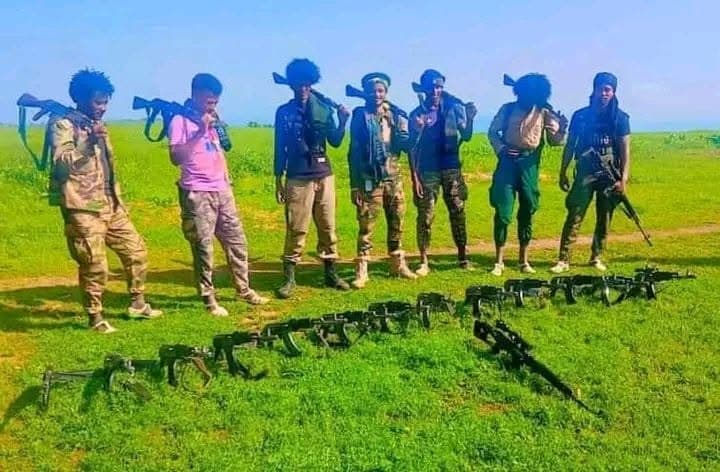 Fano forces claim the Ethiopian army retreated in North Wollo