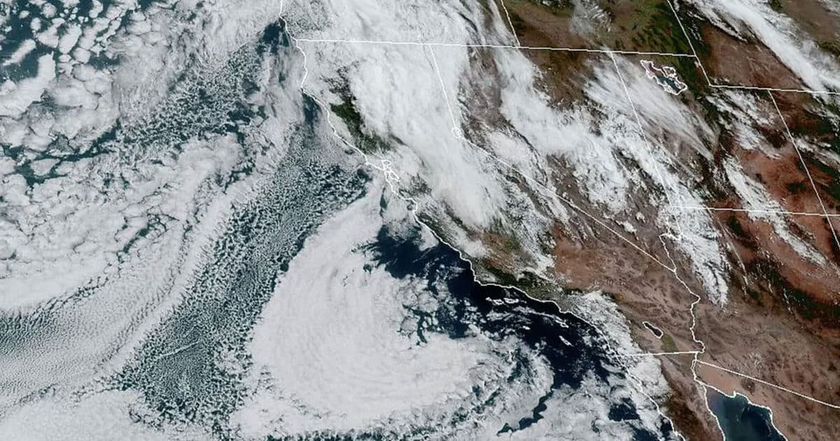 Bay Area wildfire season may be delayed by this week's record-shattering rain
