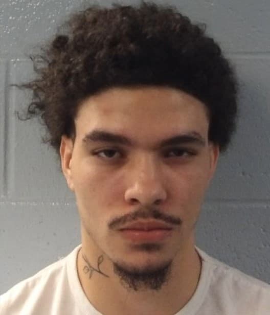 Two More Suspects Arrested in Connection with Arcadia ...