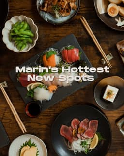 New In Town (September) - The Marin Dish