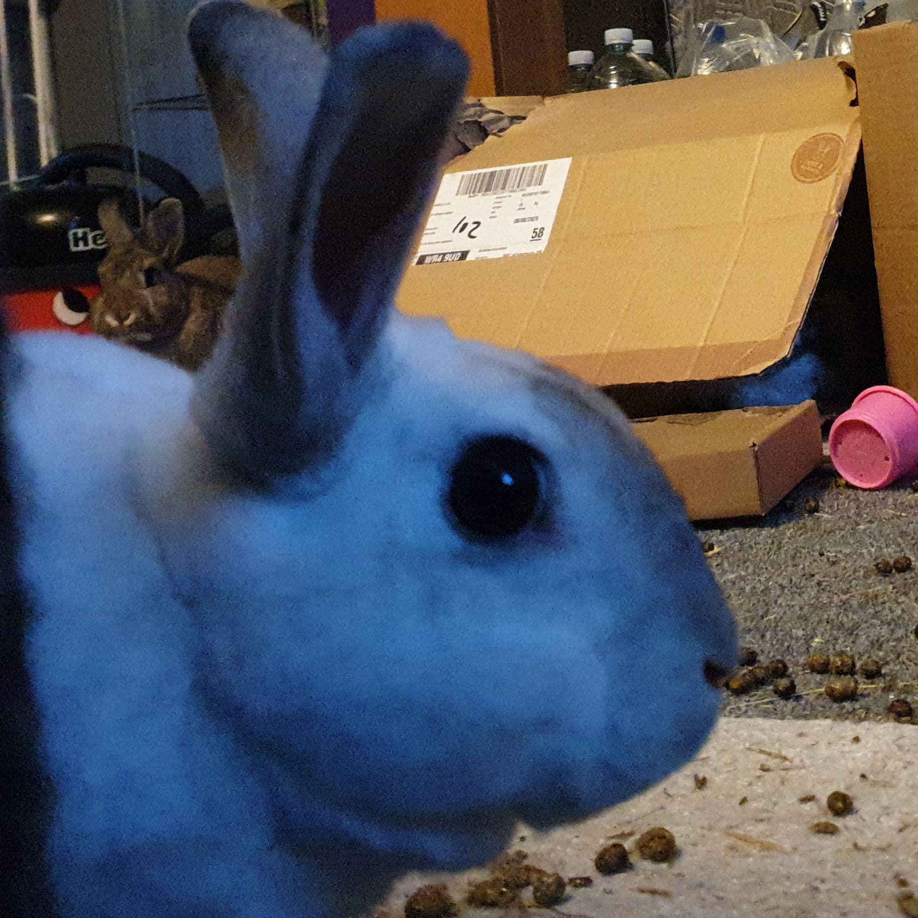 Question does anyone here use rss feeds? | Digital Minimalism | Digg