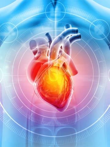 Small combined lifestyle changes lower cardiovascular event risk ...
